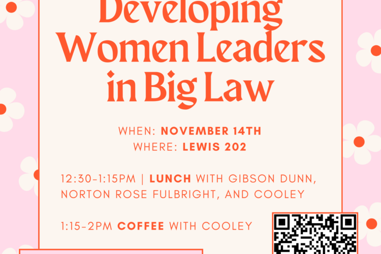 Image thumbnail for Developing Women Leaders in Big Law
