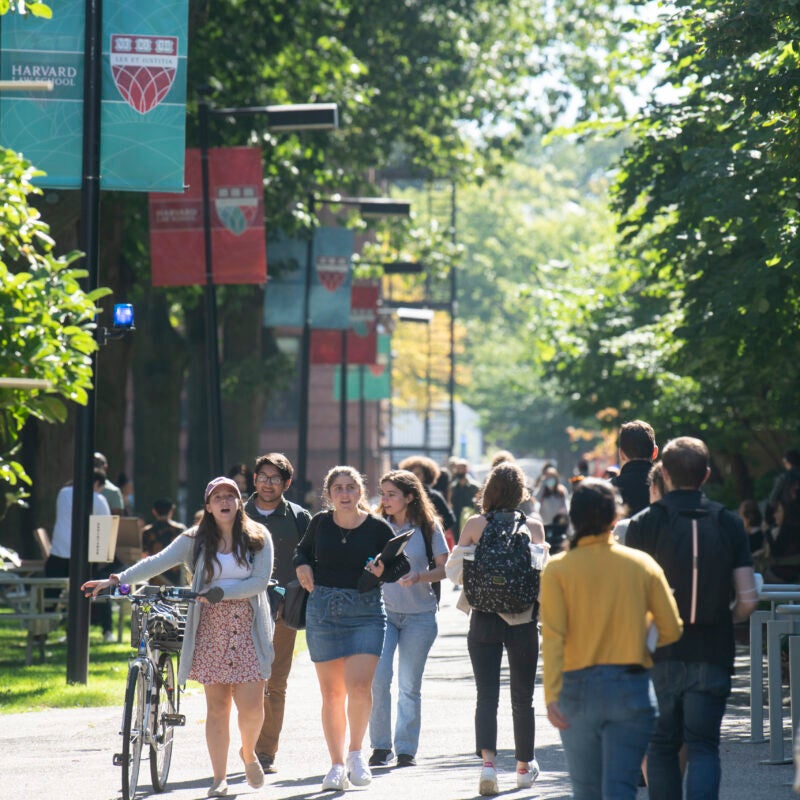 Students on campus during sunny day