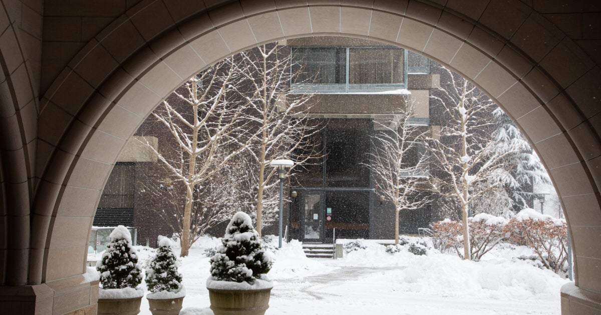 January 2025 Service Milestones Harvard Law School Harvard Law School