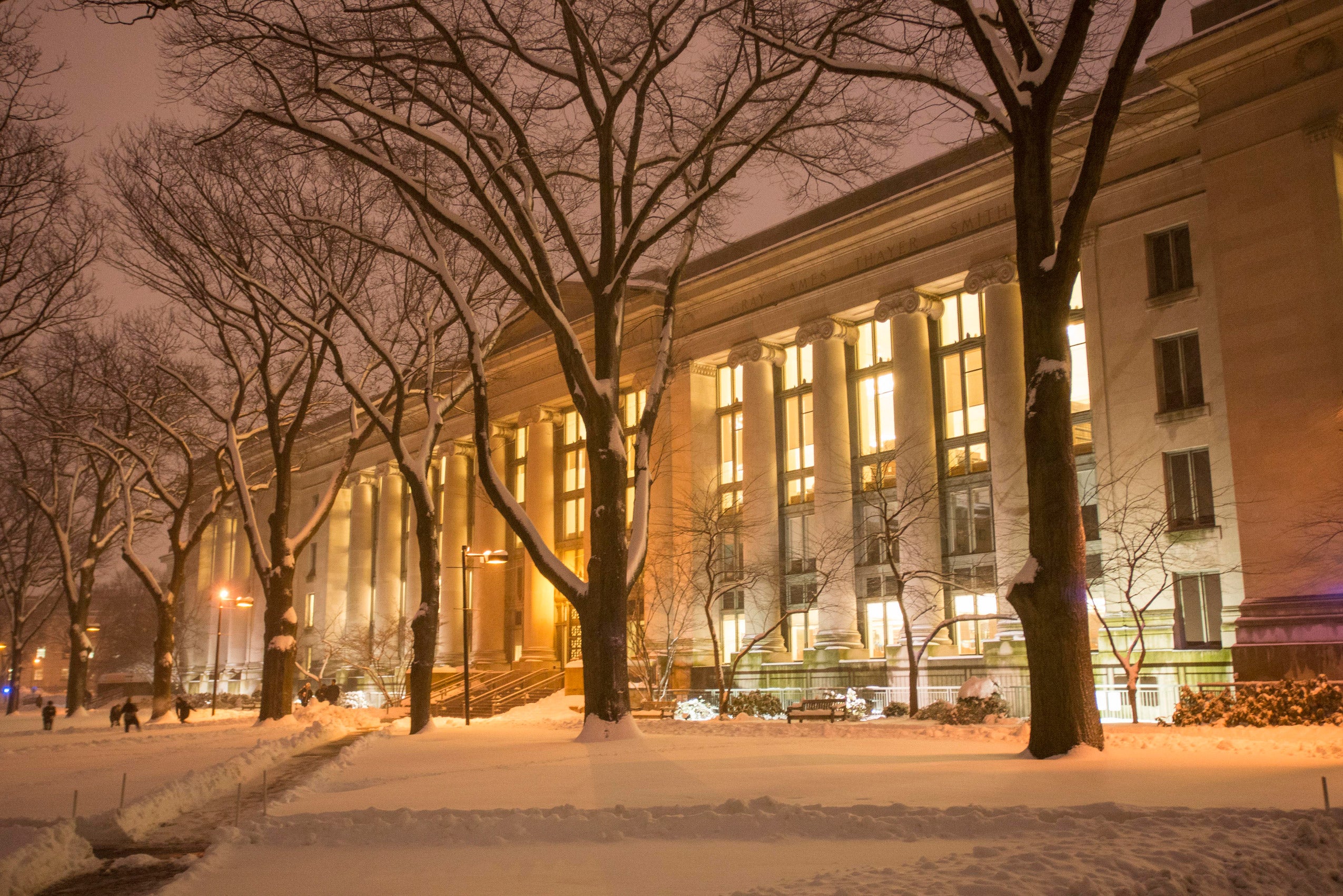 A snowy Langdell at night