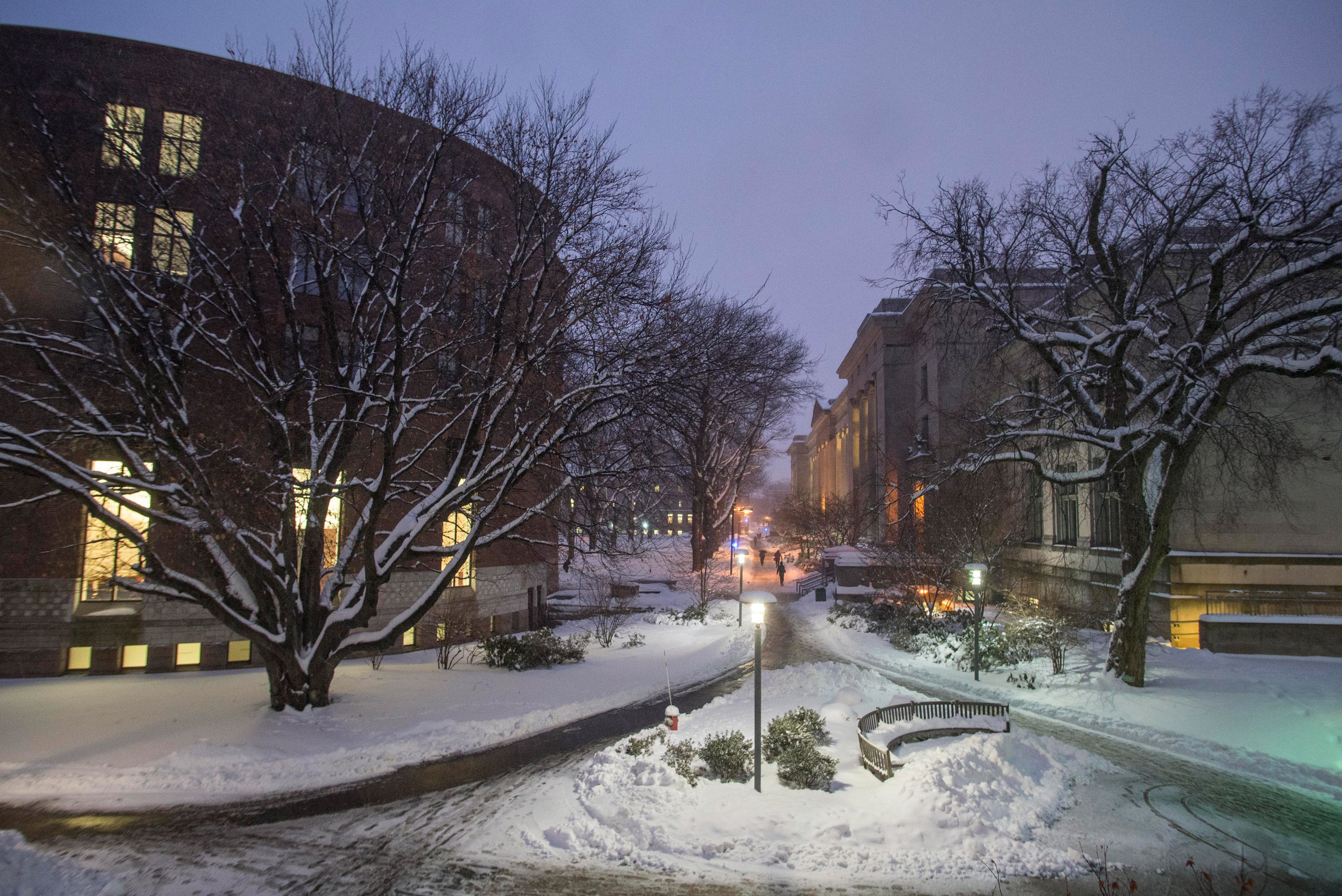 Snow on the Harvard Law School campus at night