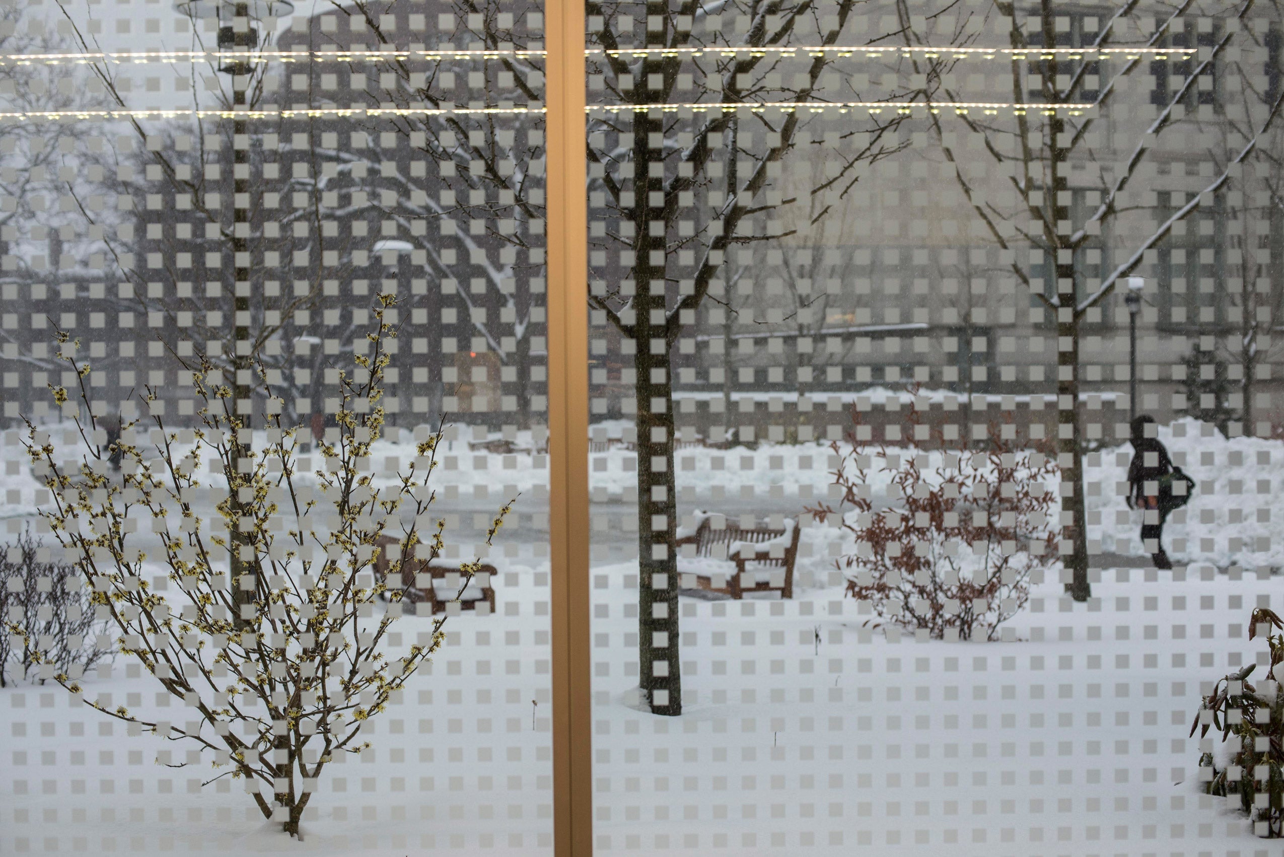 View of snowy campus from behind a window
