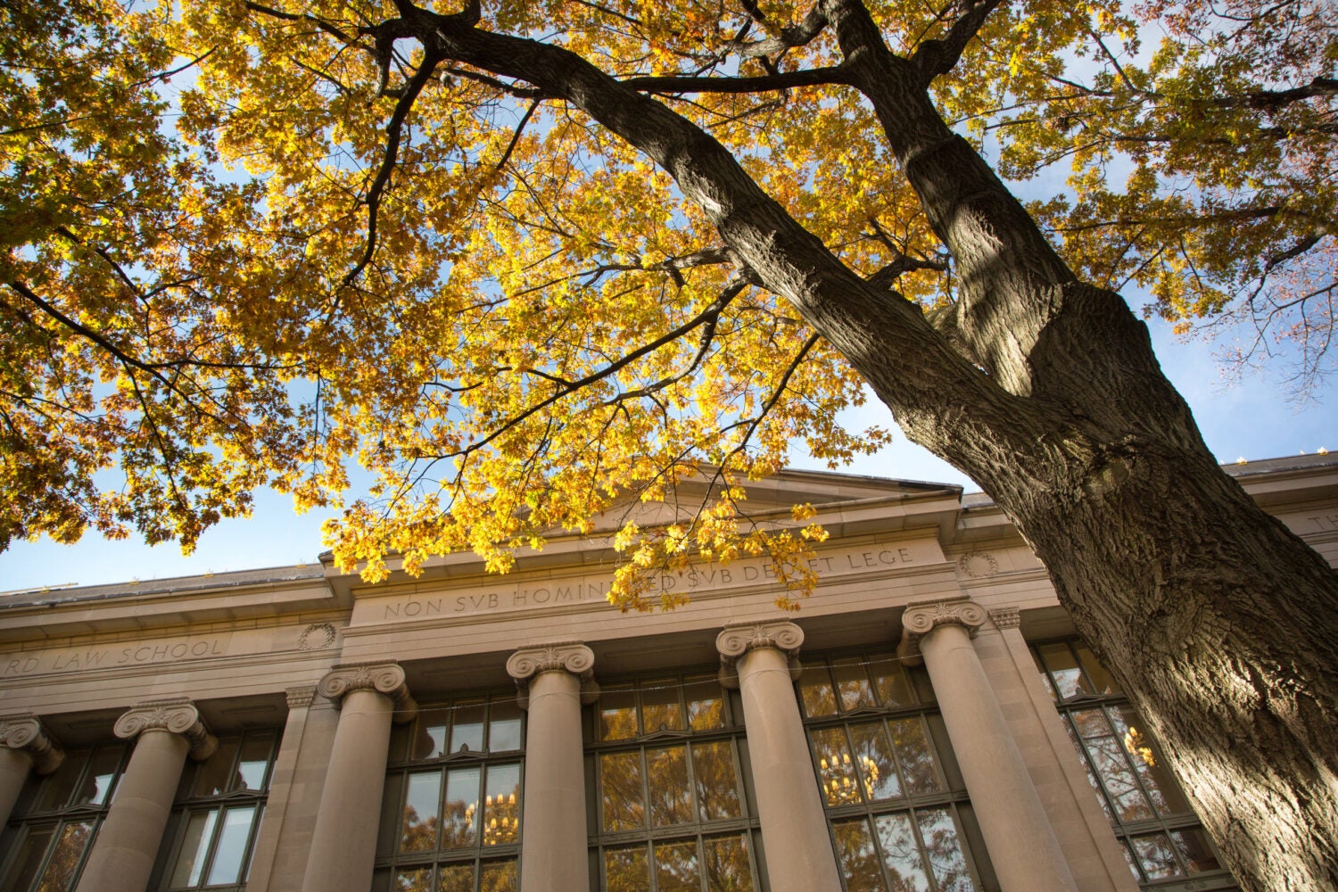 Langdell in autumn