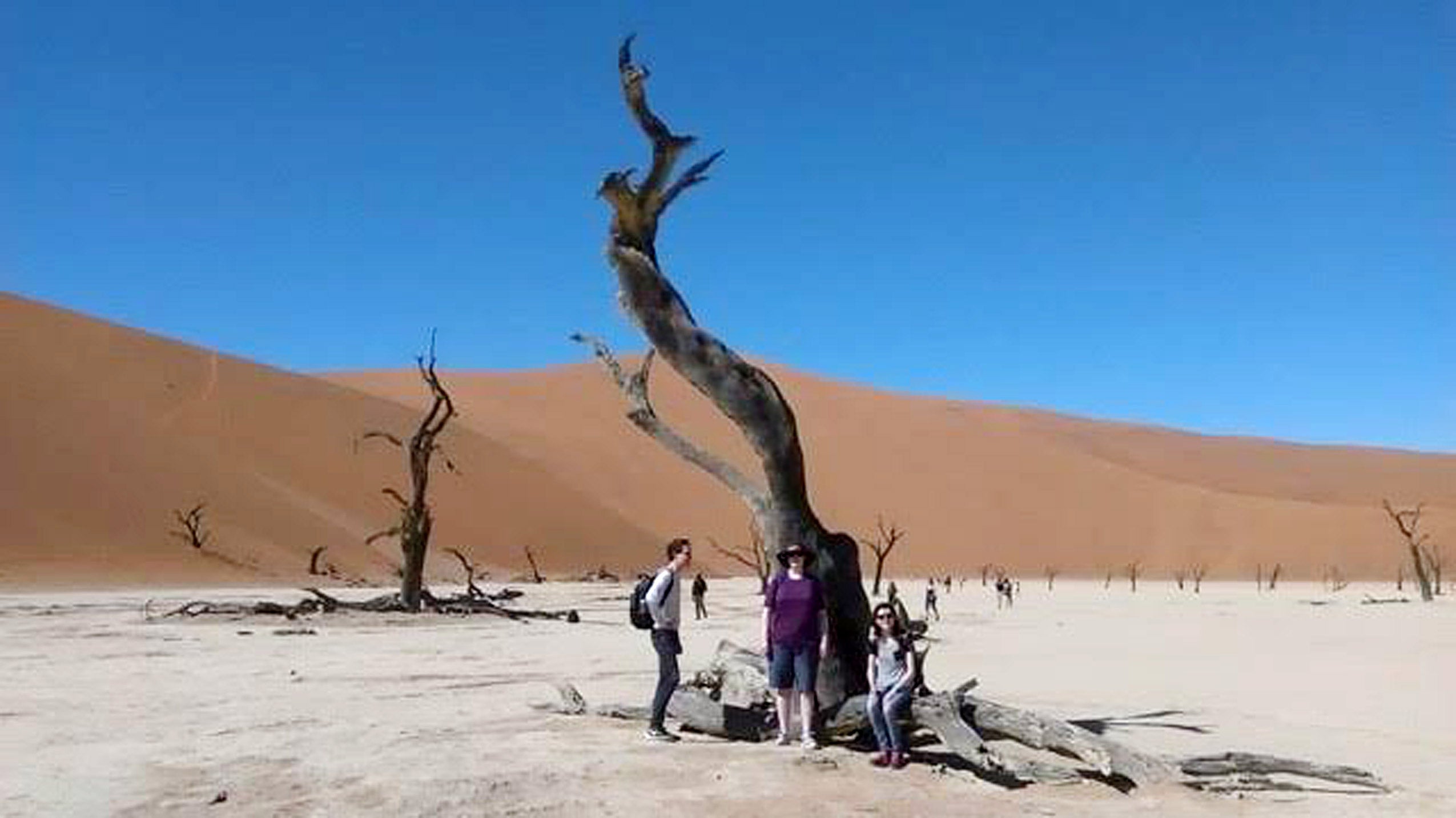 Three people standing in front of a tree