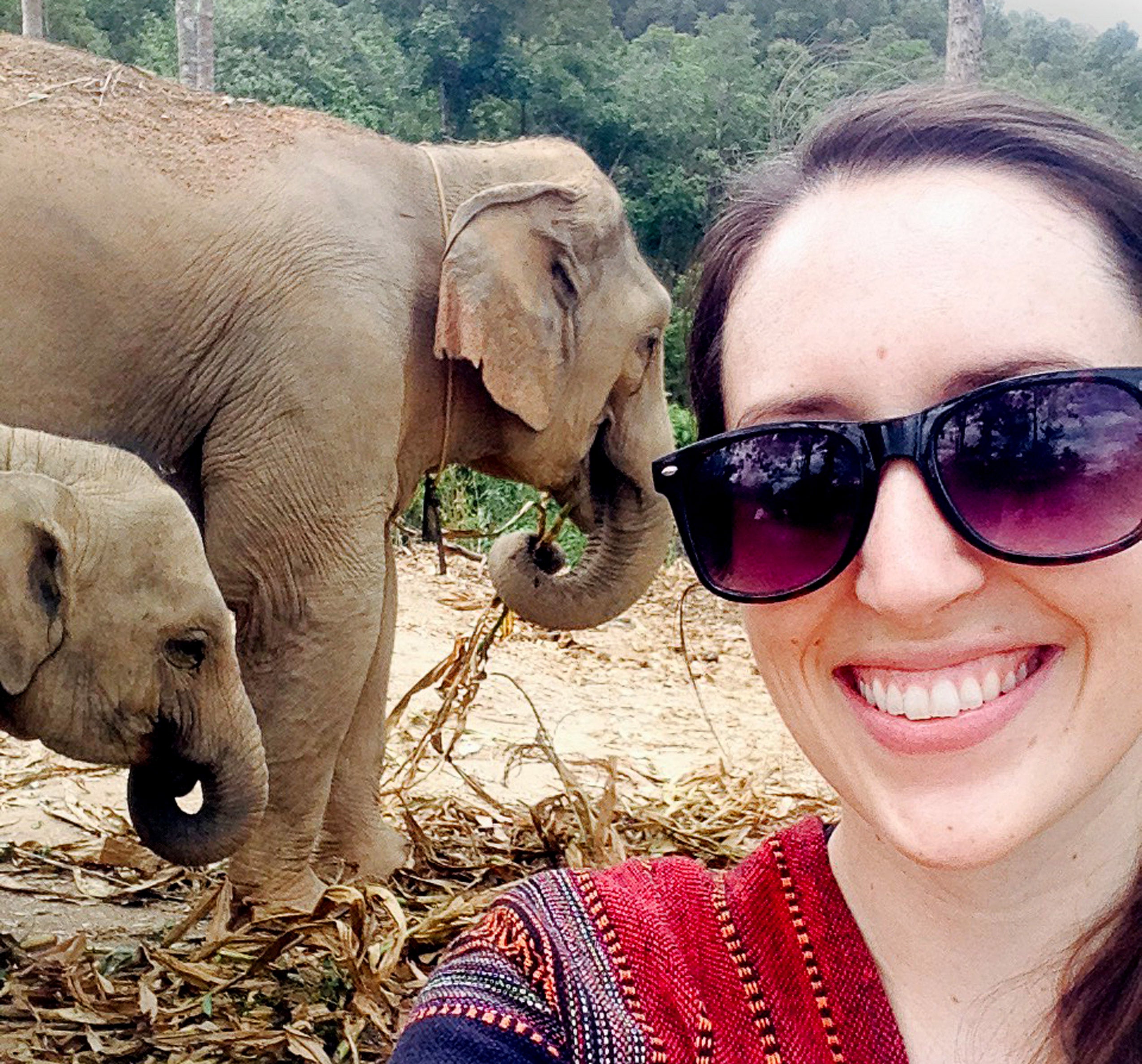 A woman taking a photo with two elephants