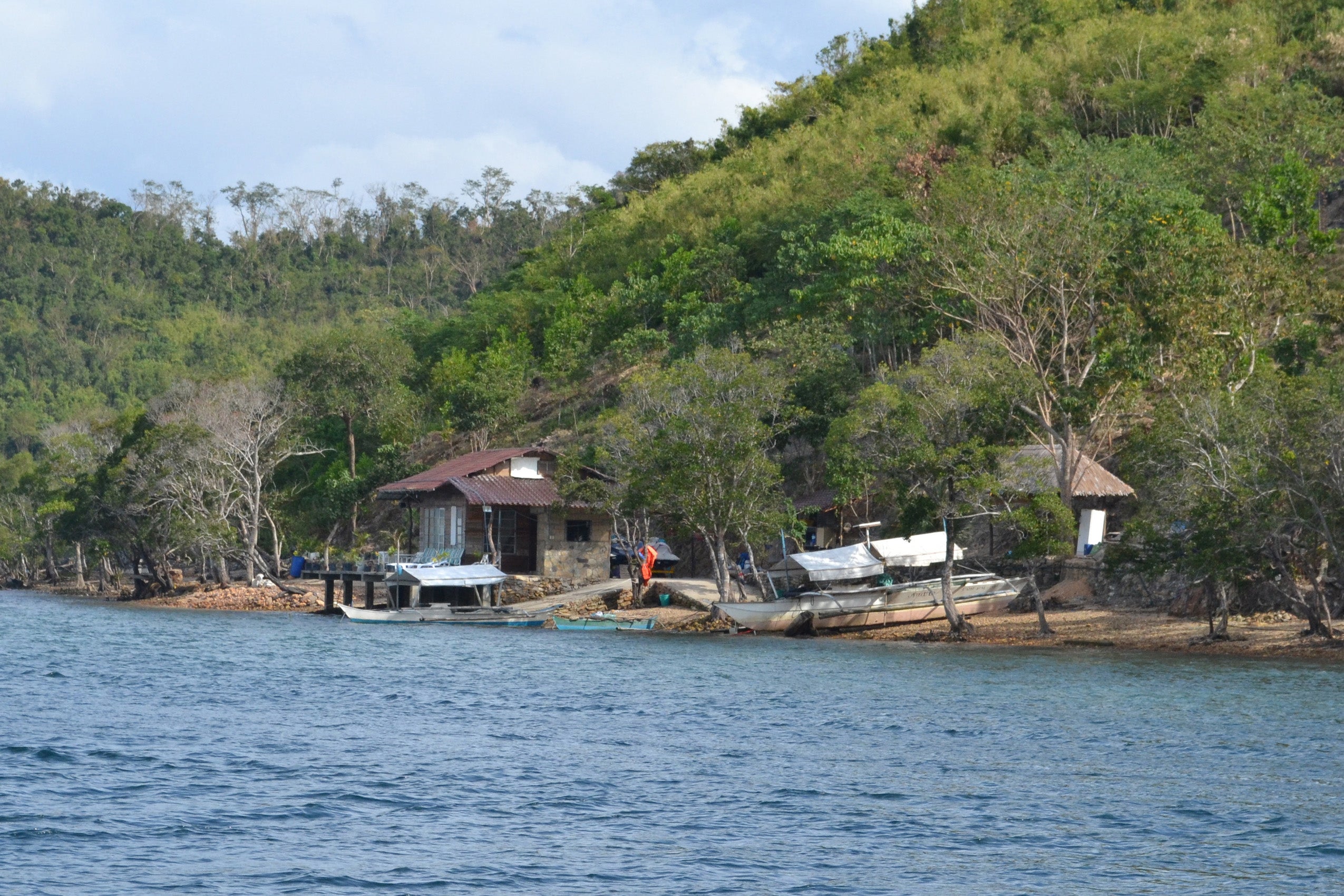 Boats on the bank of a river