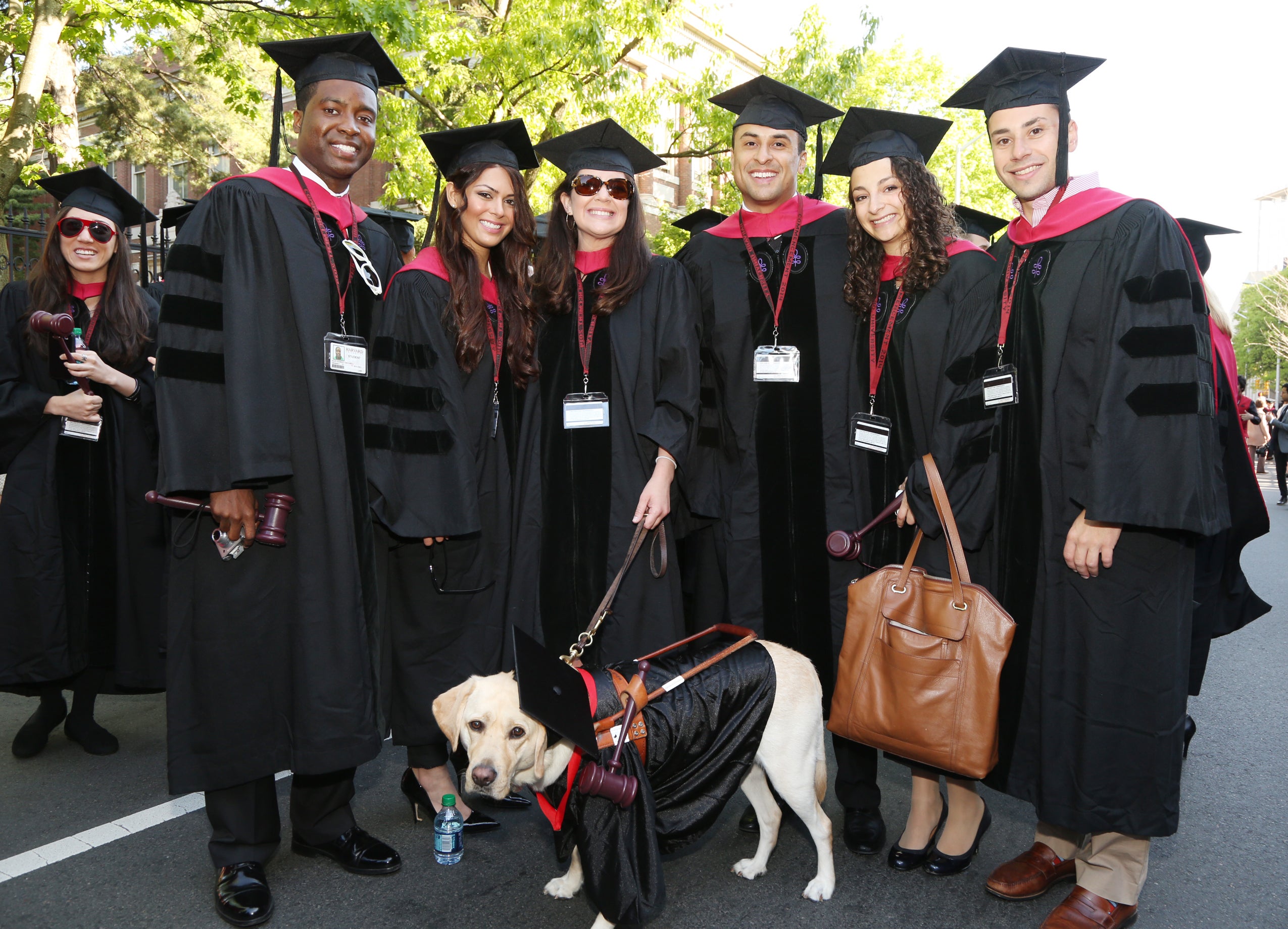 A group of graduates and a service dog, all in caps and gowns