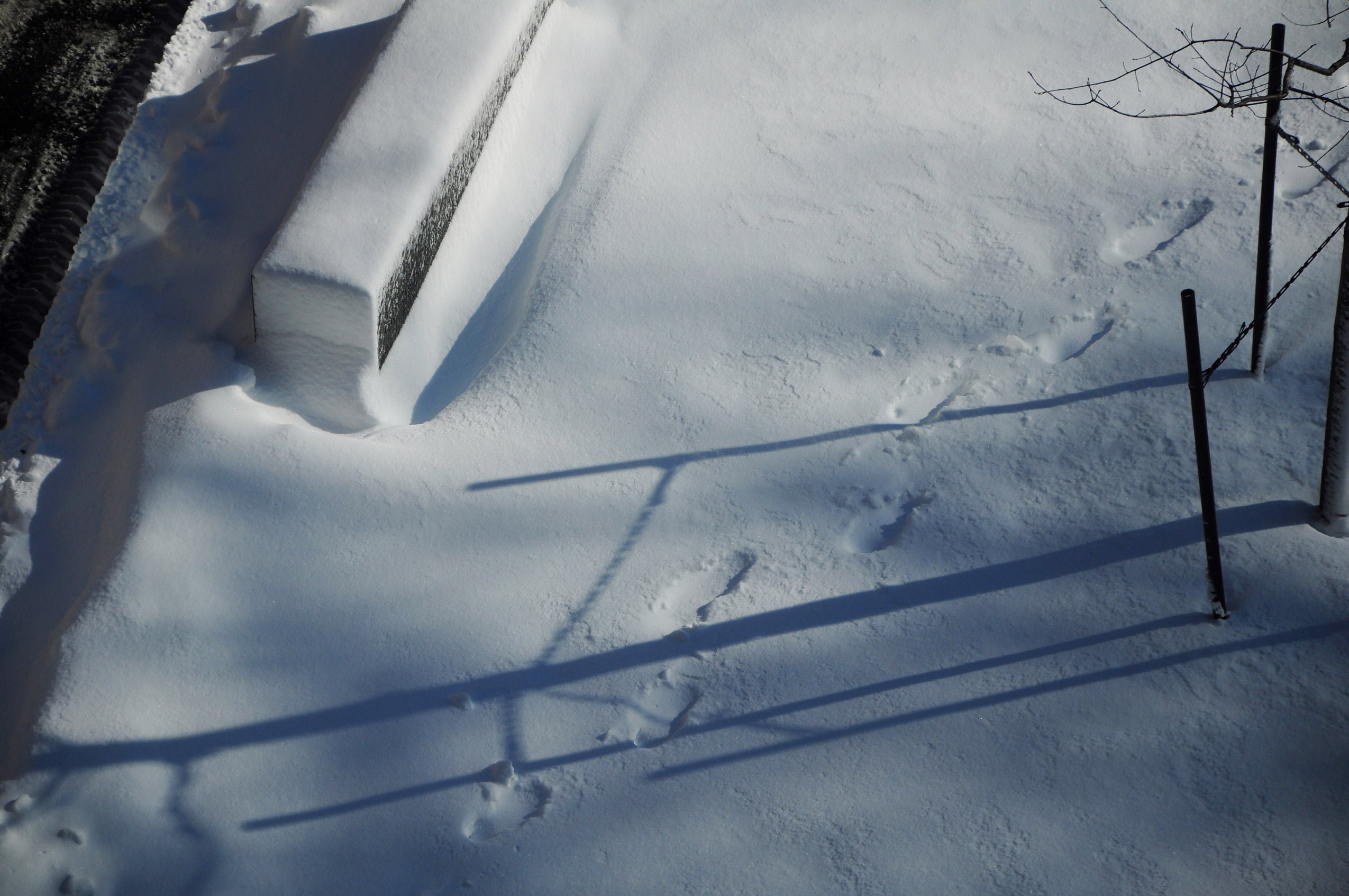 An aerial shot of prints in snow on the HLS campus