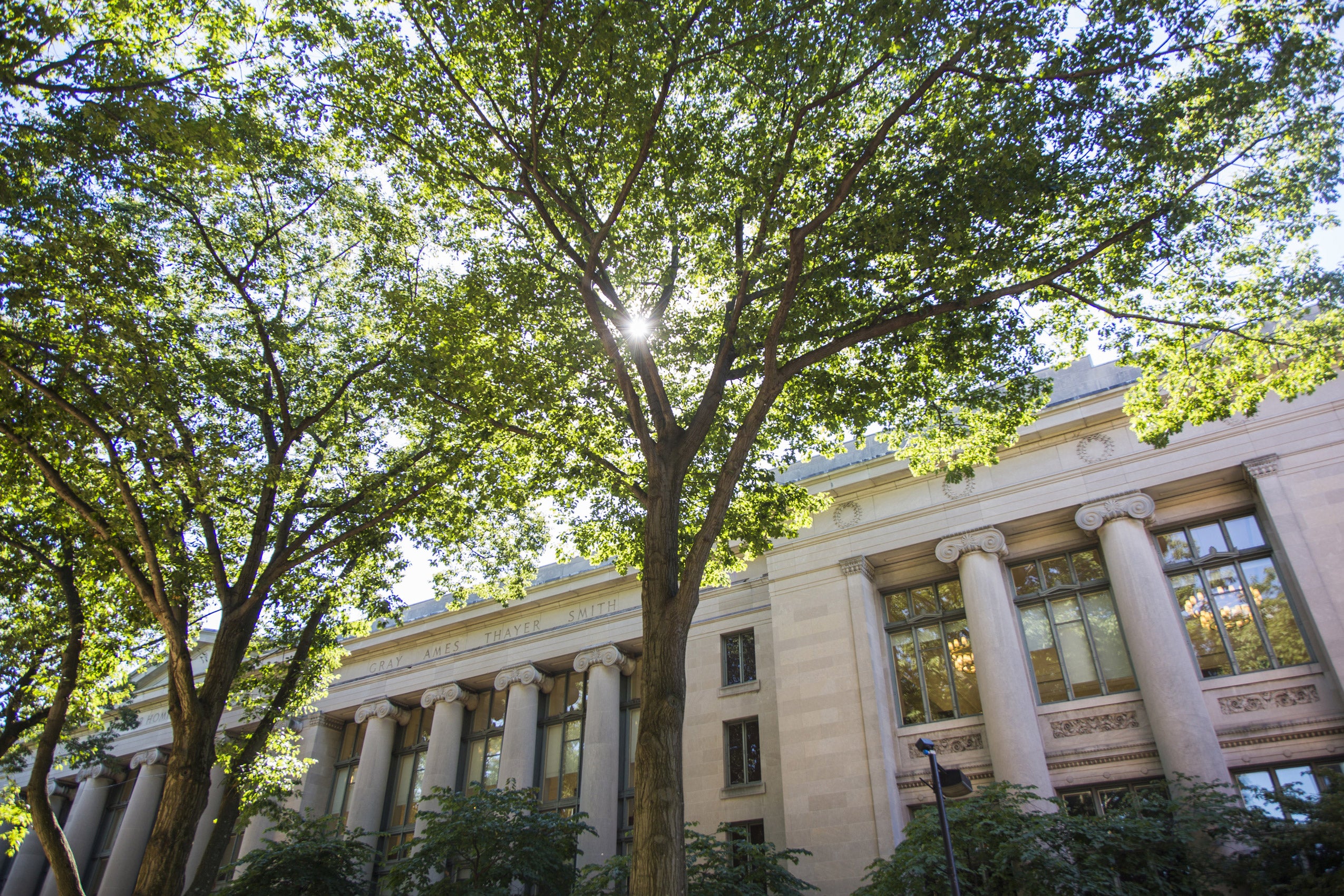 The exterior of Langdell Hall at midday