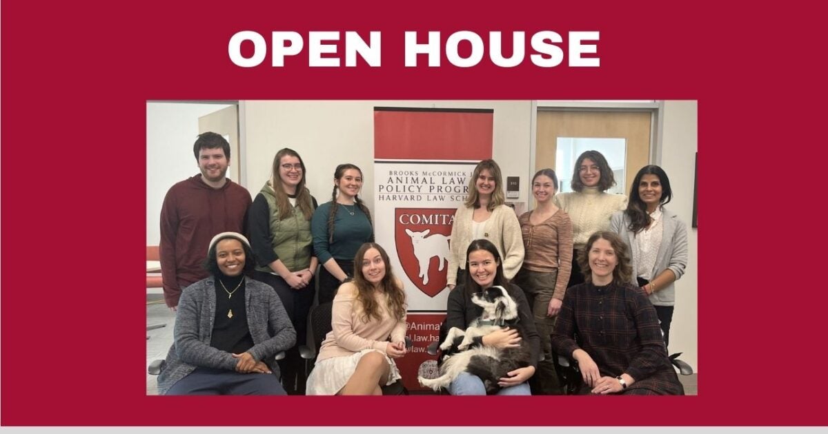 Animal Law & Policy Clinic Open House Harvard Law School Harvard