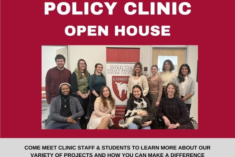 Image thumbnail for Animal Law & Policy Clinic Open House