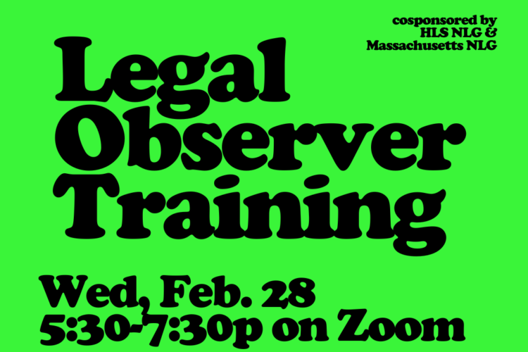 Image thumbnail for Legal Observer Training