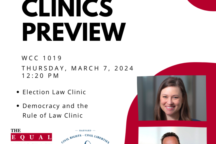 Image thumbnail for EDP Clinics Preview: Election Law Clinic and Democracy and the Rule of Law Clinic