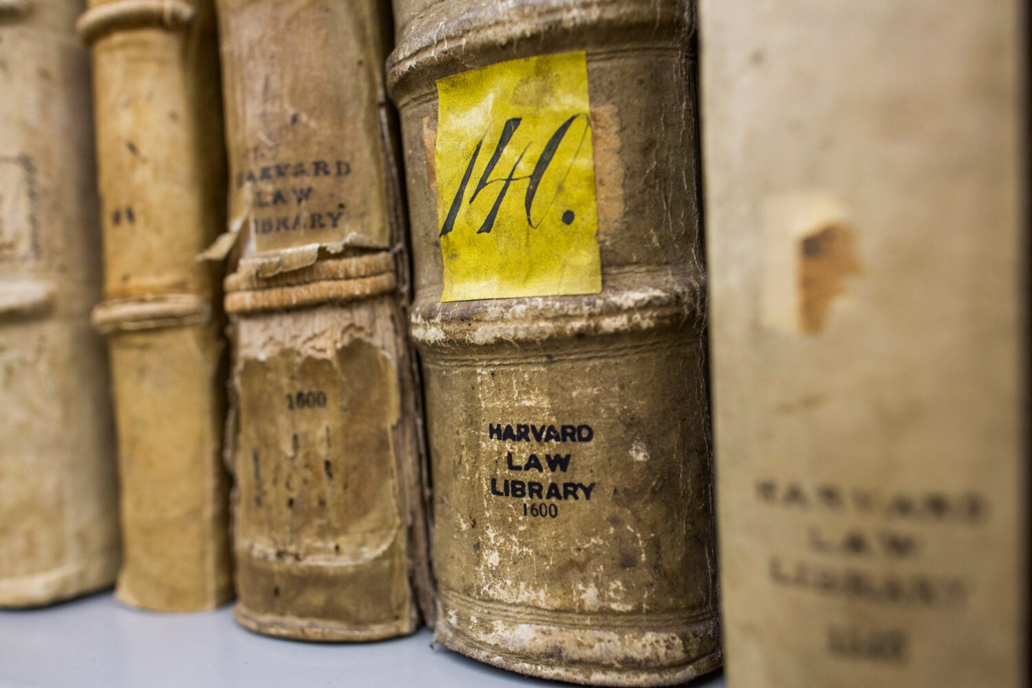 Closeup of rare book spines, stamped with Harvard Law Library.