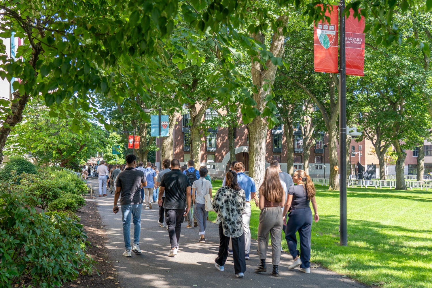 Students walking along a path on campus