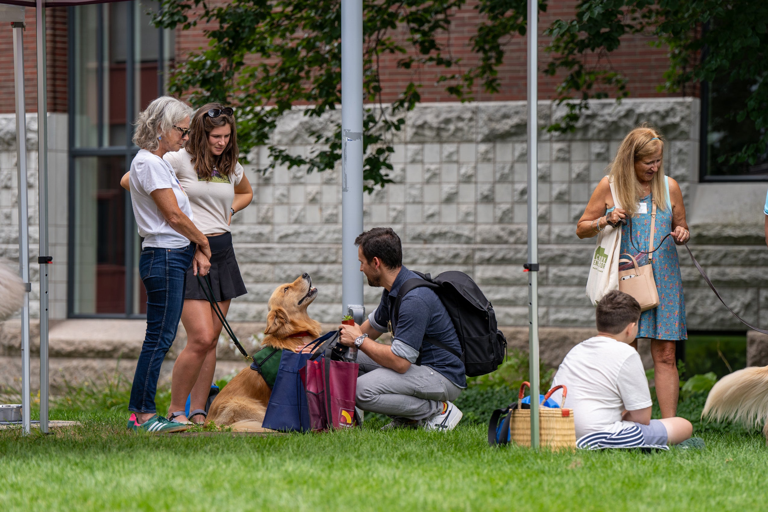 A student pets a dog during orientation