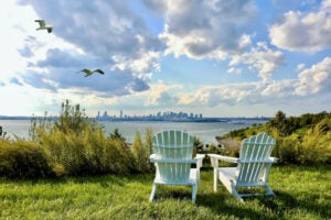 Seagulls over Spectacle Island.