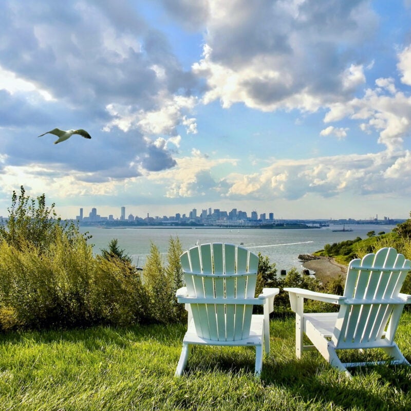 Seagulls over Spectacle Island.