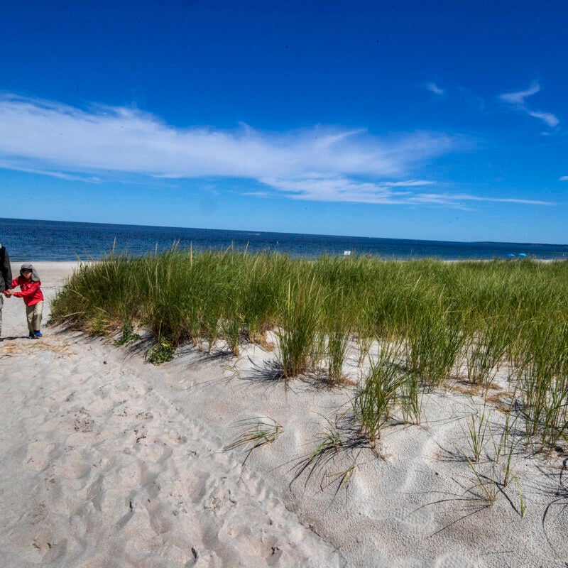 A man and child walk the dunes at Crane Beach.