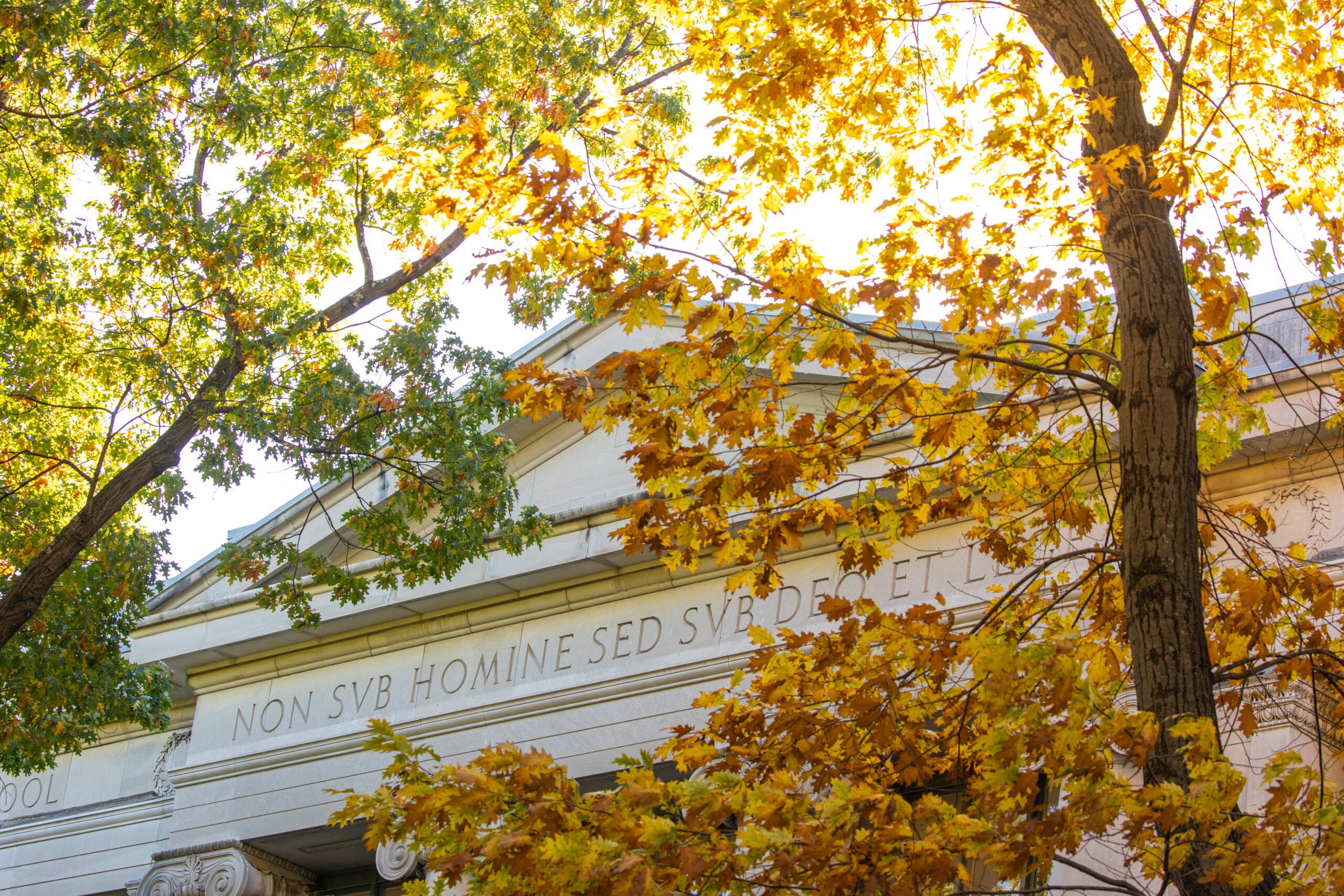 Fall leaves in front of Langdell Hall