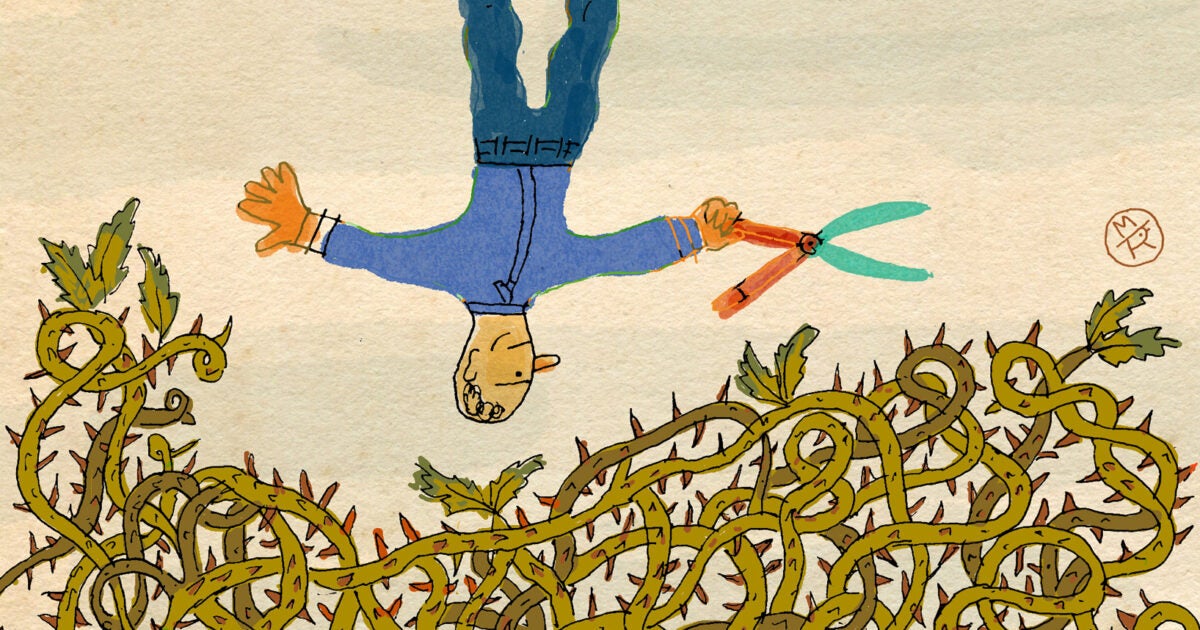 Class Notes Fall 2024 Harvard Law School Harvard Law School