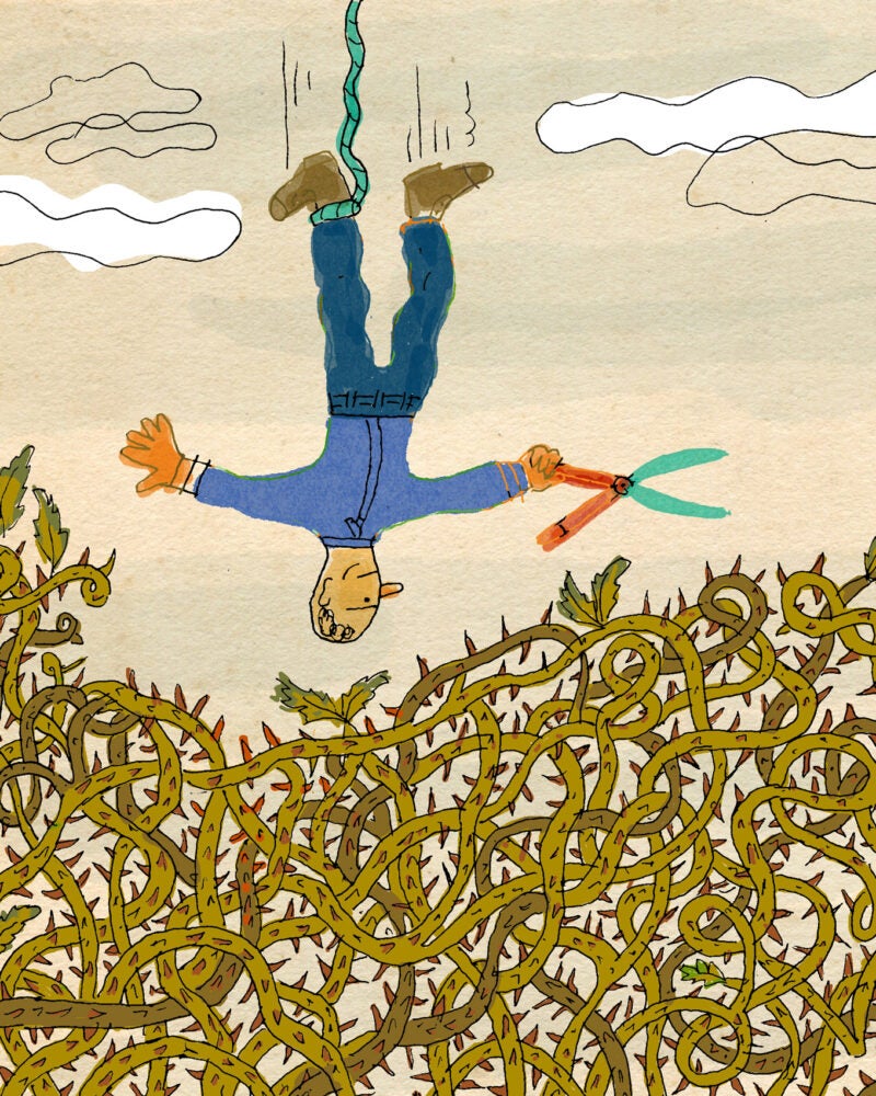 An illustration of a man wearing blue pans and a shirt holding clippers suspended from a rope and hanging over a pile of prickly bunch of vines.