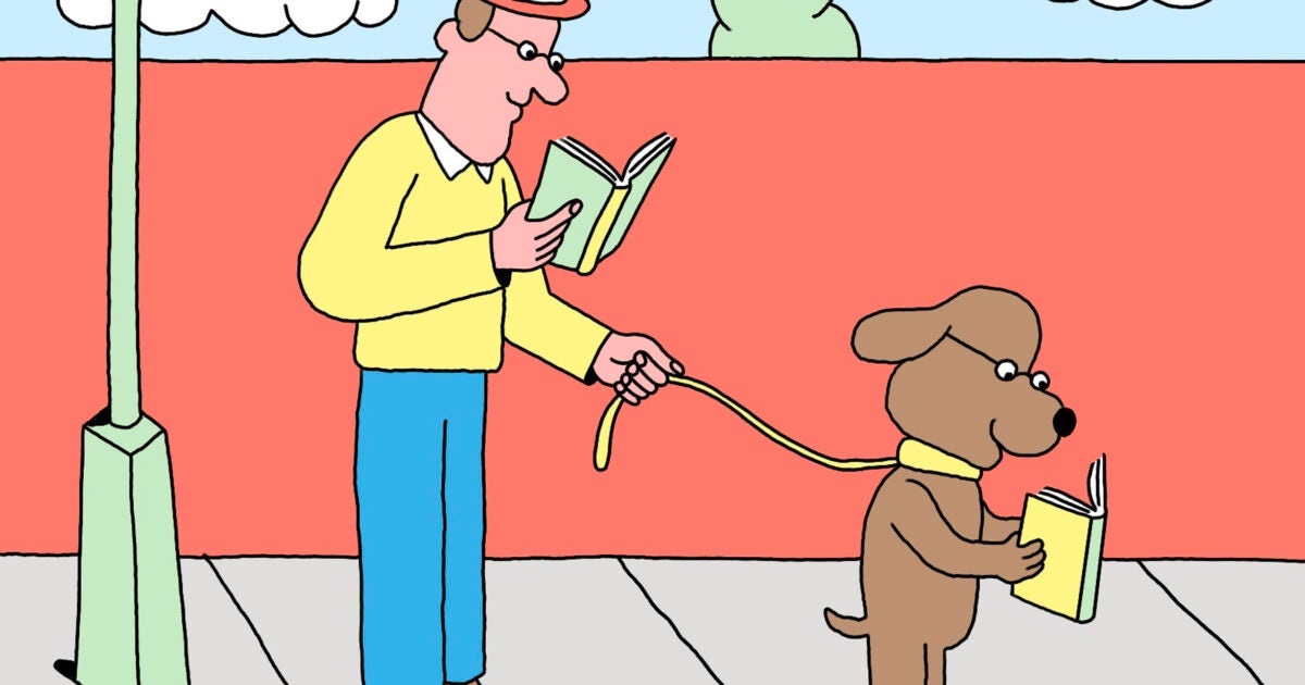 HLS Authors Fall 2024 Harvard Law School Harvard Law School