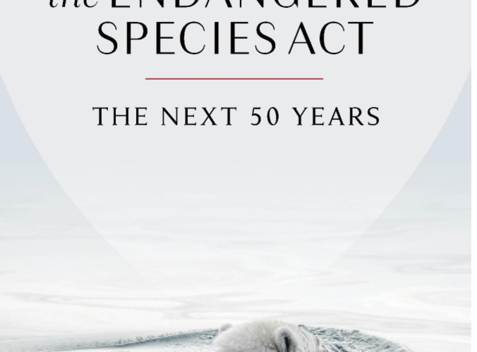 Image thumbnail for The Endangered Species Act: The Next 50 Years