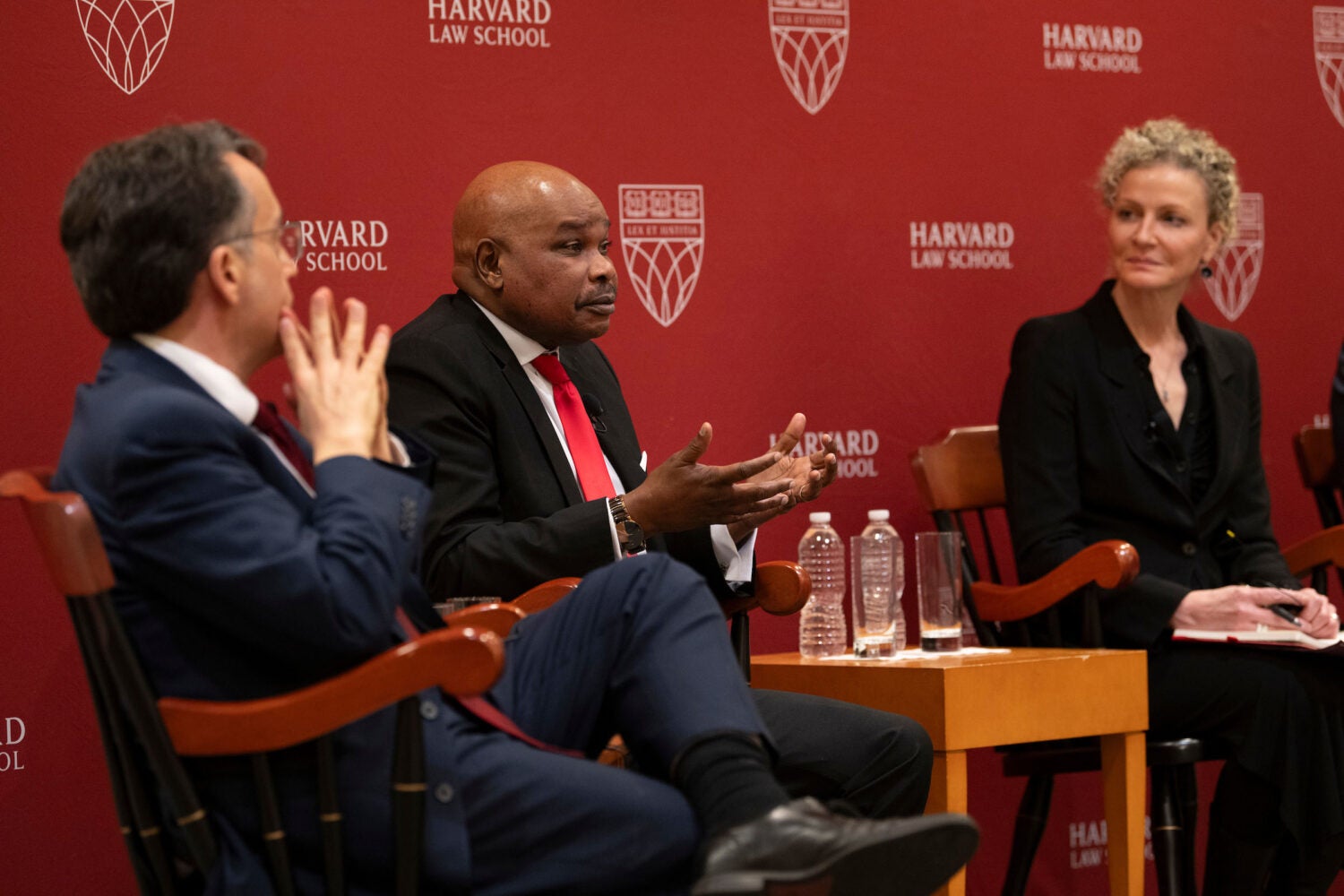 Ryan Goodman, Makau Mutua, Alicia Ely Yamin.