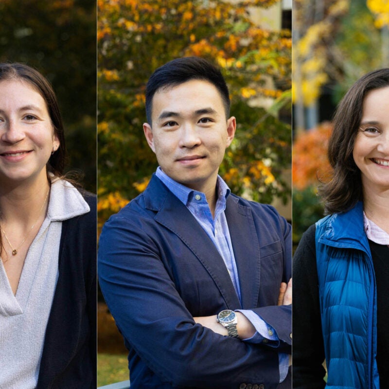 Lindsay Gabow, Jonathan Zhangxu, Annie Preis.