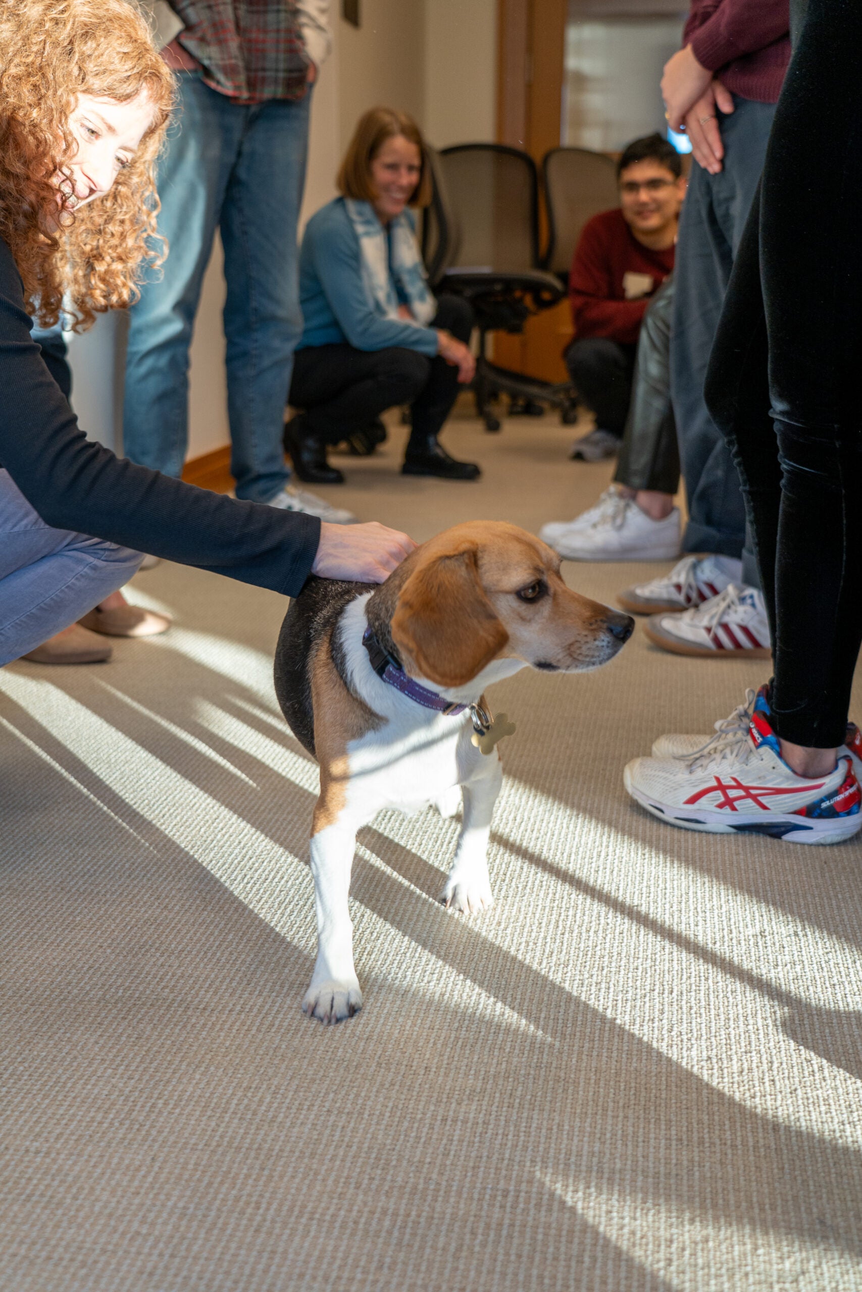 a dog walks through the feet of students in a classroom