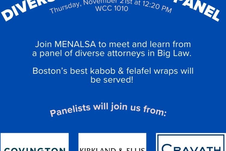 Image thumbnail for MENALSA Diversity in Big Law Panel