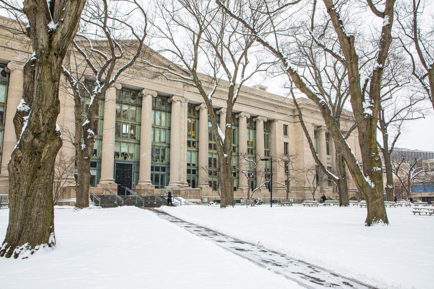 Langdell Hall in the snow