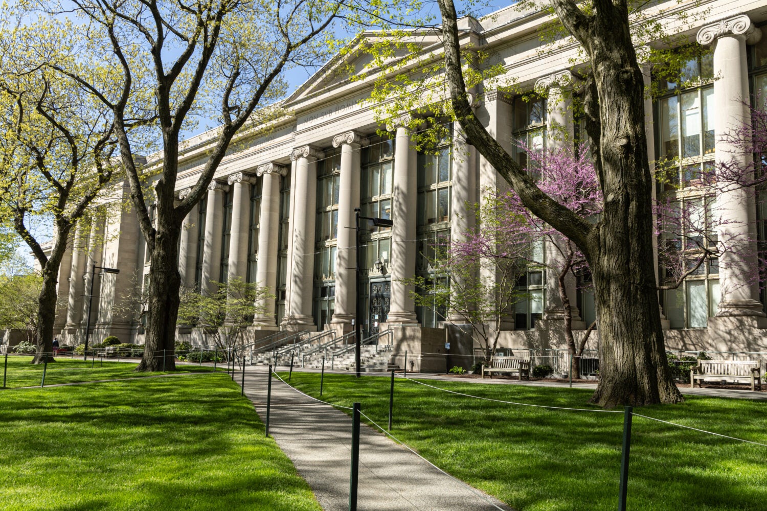 Spring on the HLS campus