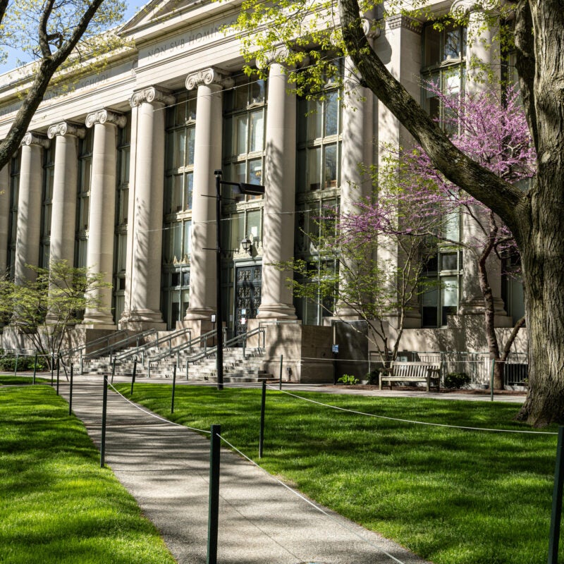 Langdell Hall in the spring