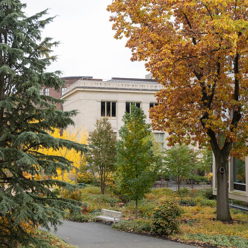 Campus in autumn.