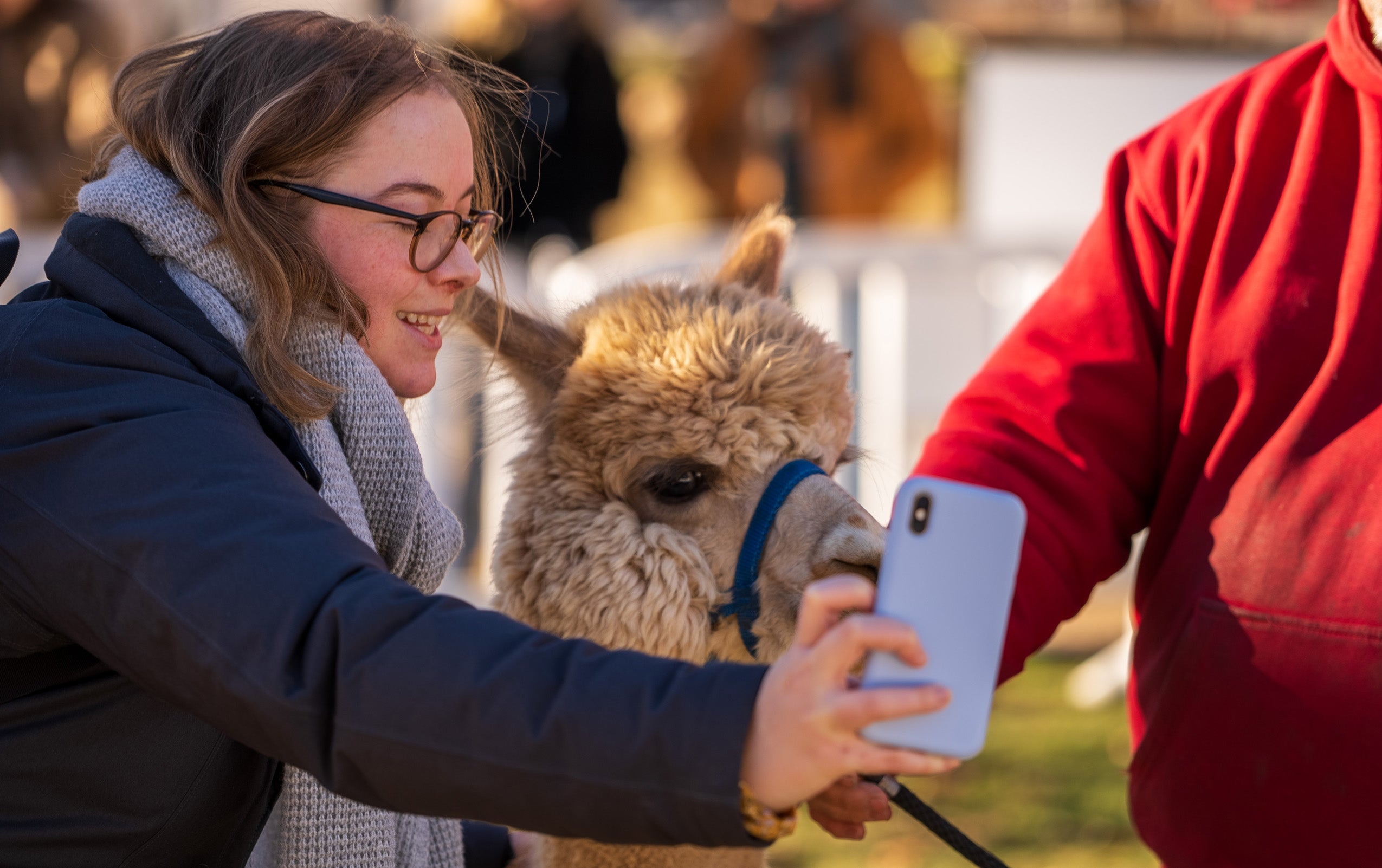 A student takes a selfie with a llama