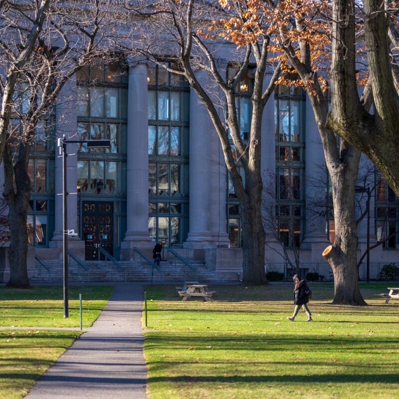 Langdell Hall by a green lawn and tall oak trees with no leaves.