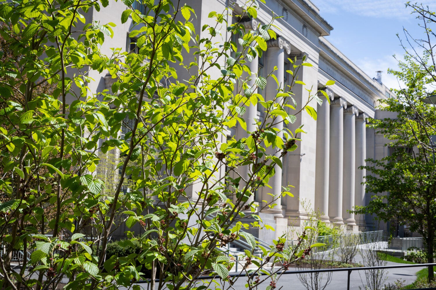 Campus in springtime.