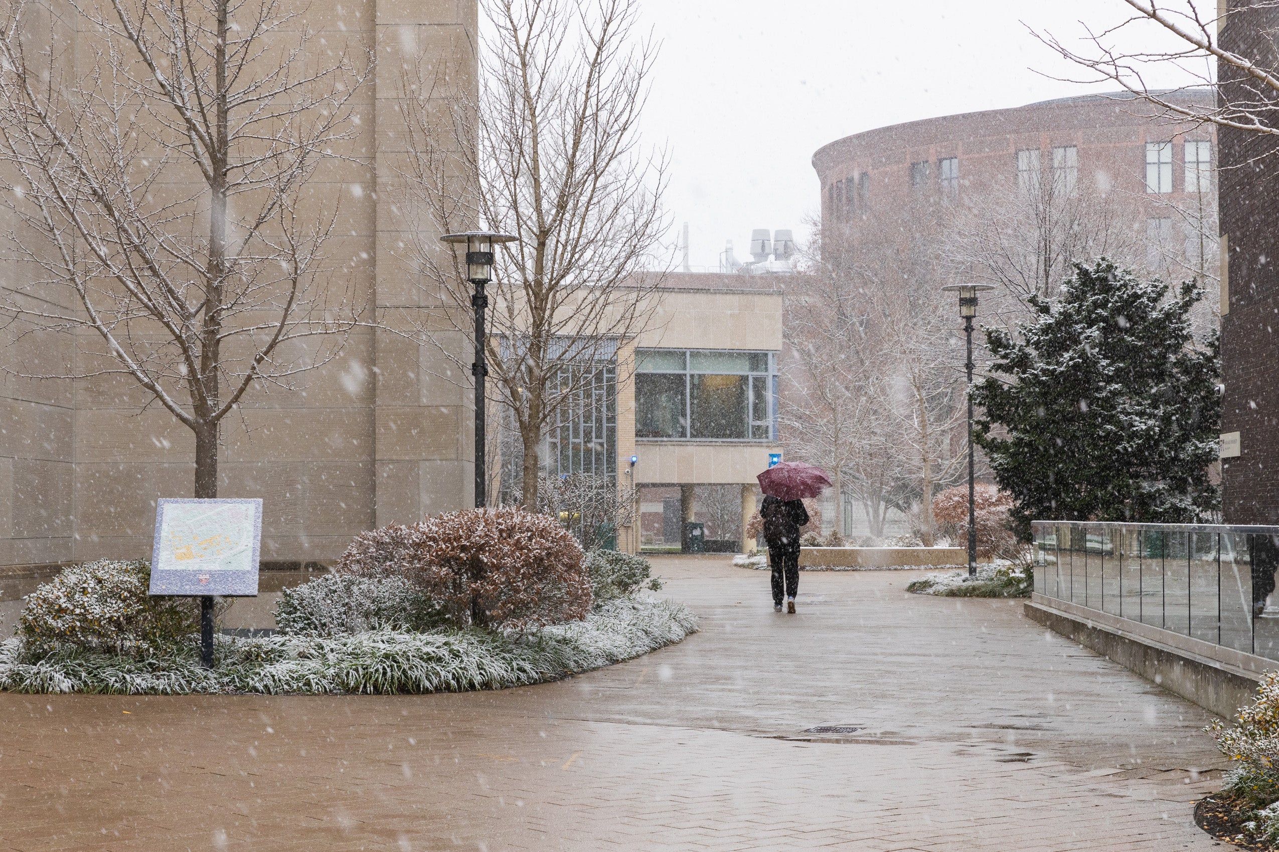 A person in black holding a crimson umbrella on a snowy day walks along a path on campus.