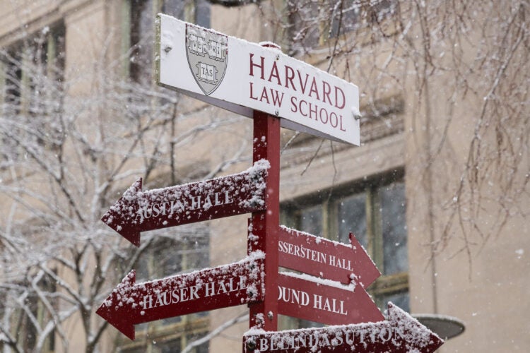 Snow-covered crimson directional signs under a white sign that says Harvard Law School point to buildings on Harvard Law School campus
