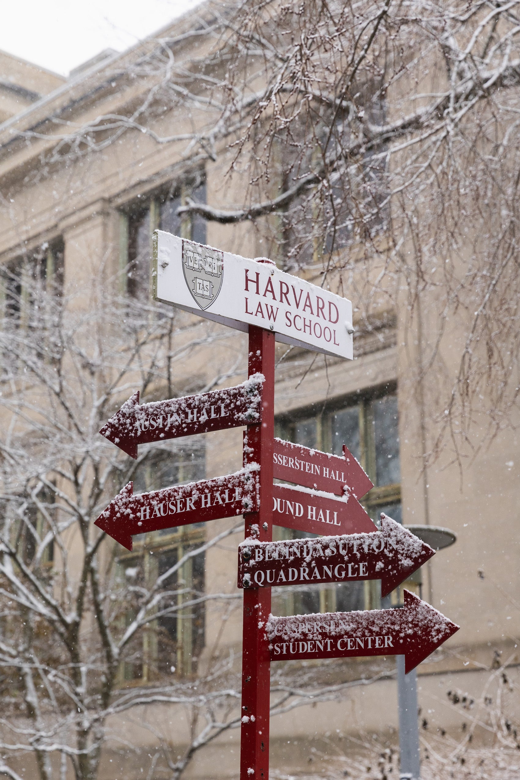 Snow-covered crimson directional signs under a white sign that says Harvard Law School point to buildings on Harvard Law School campus