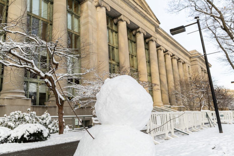 The head of a snowman looks at the front of a large building with columns on a snowy day.