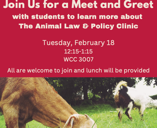 Image thumbnail for Animal Law and Policy Program Clinic Meet-and-Greet