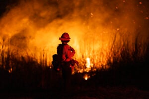 Firefighter monitoring an L.A. fire.