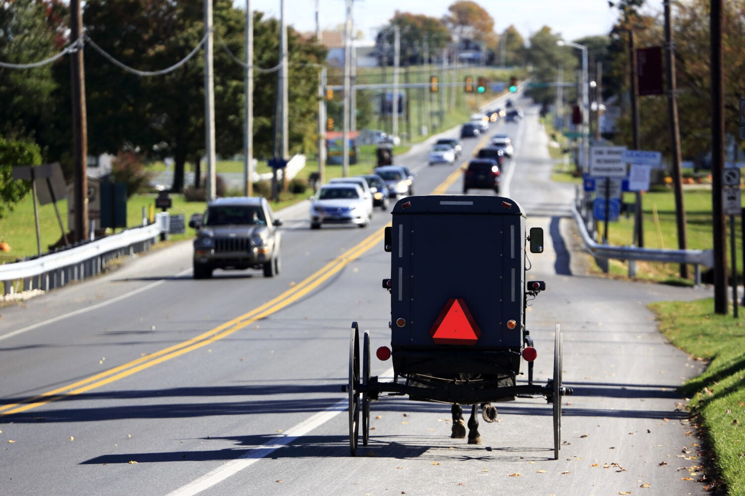 Amish buggy on a local road.