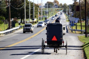 Amish buggy on a local road.