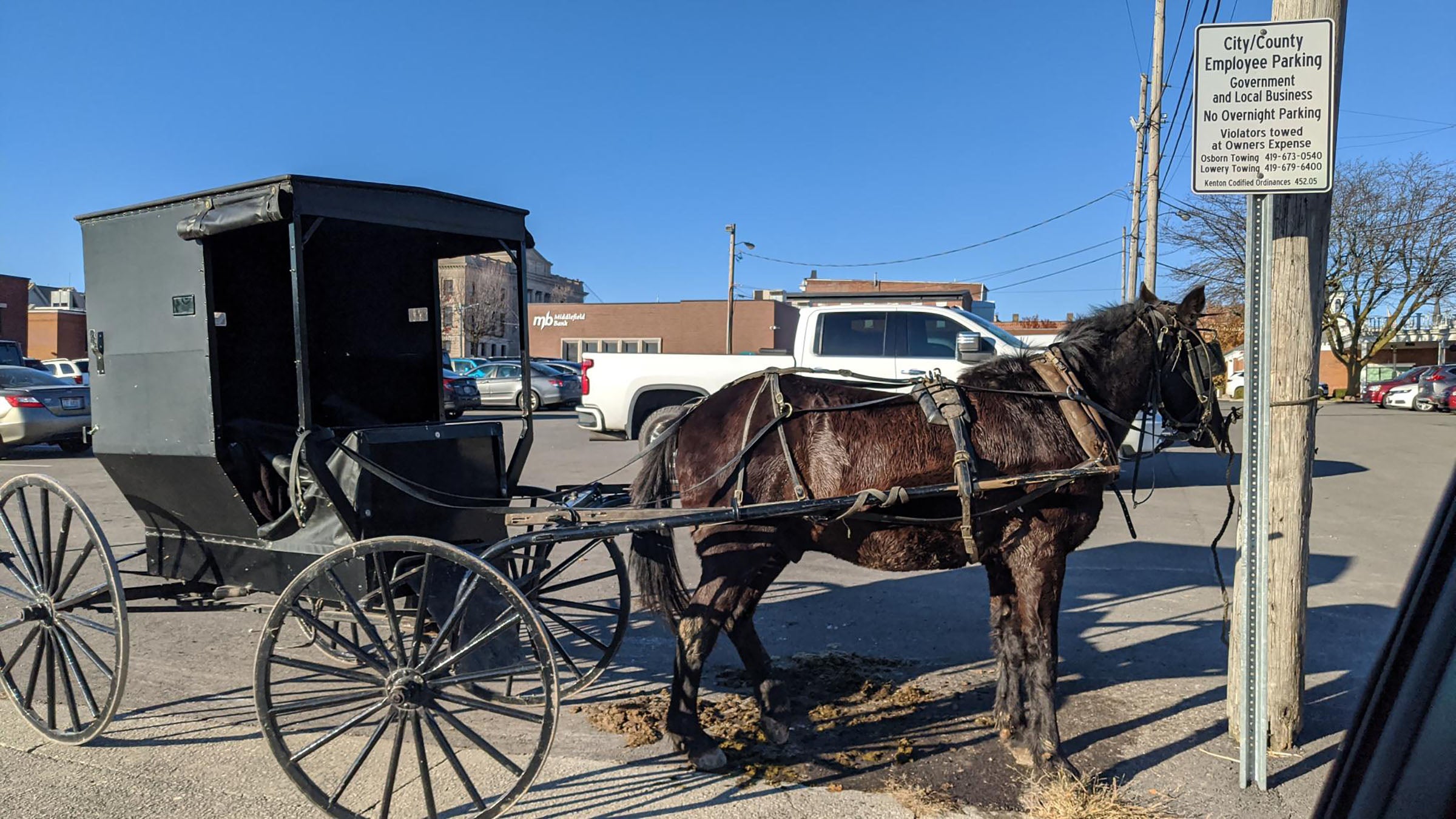 A horse and buggy parked outside a courthouse.