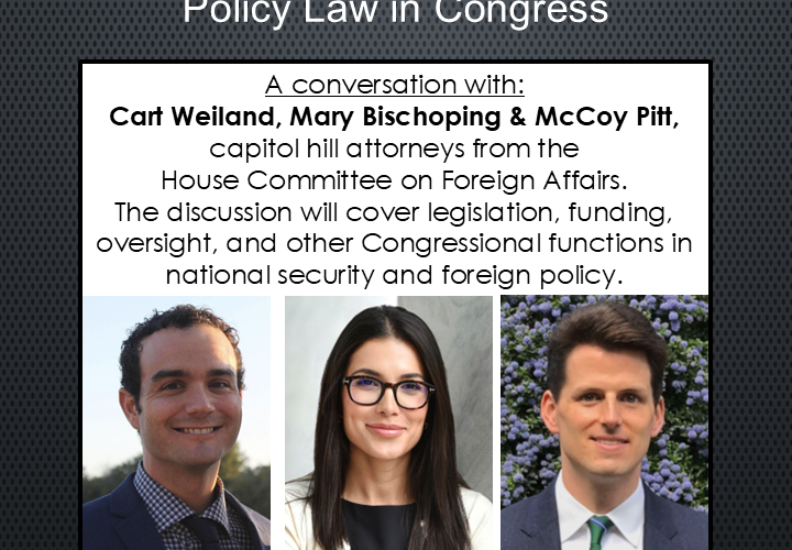 Image thumbnail for National Security and Foreign Policy Law in Congress