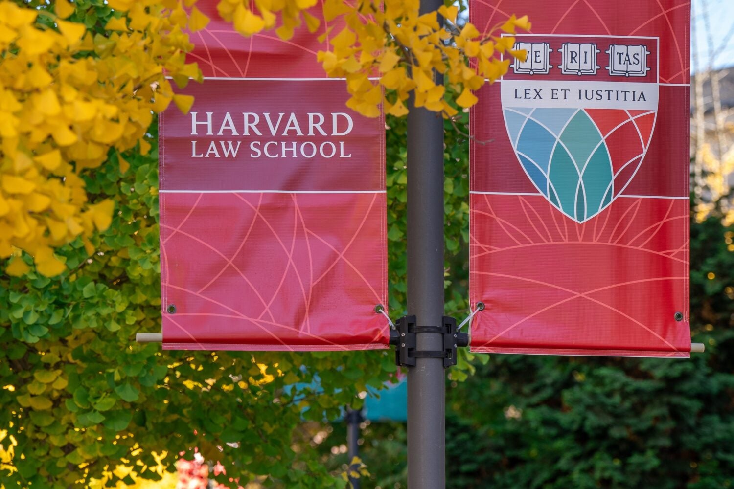 Fall leaves in front of a banner that reads 